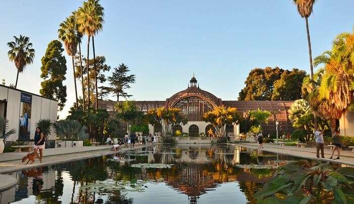 beautiful garden view