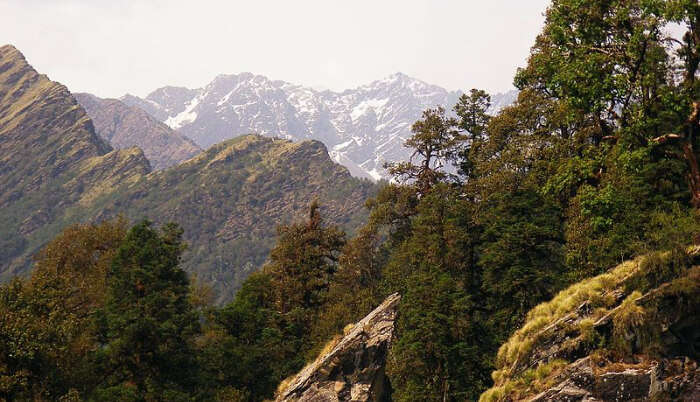 View of the Himalayas