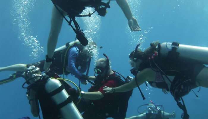 Enjoy Scuba Diving