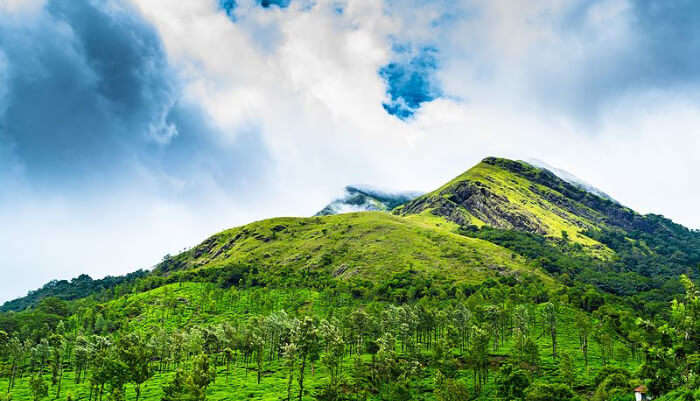 Beautiful Nature View of Peak