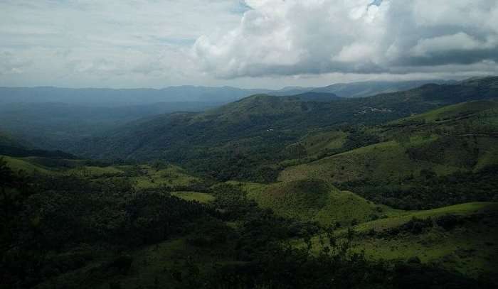 view of the misty hills in chikmagalur