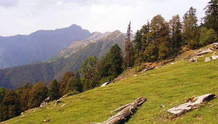 Chopta