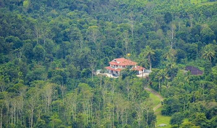 Coorg Homestays