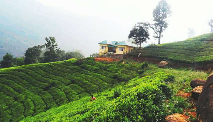 Droog Homestay in Coonoor