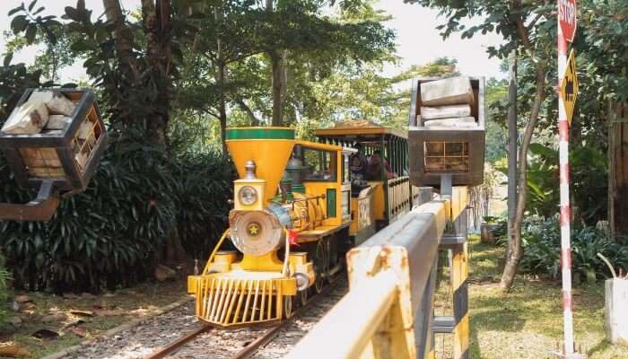 Enjoy A Toy Train Ride