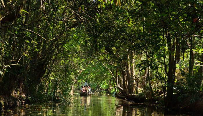  Beauty Of Alleppey