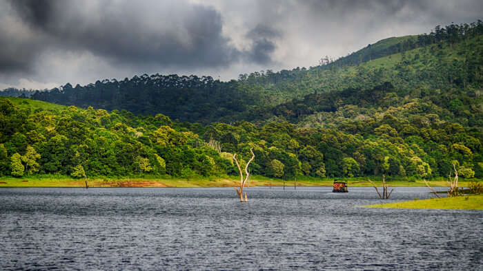 Beauty Of Thekkady