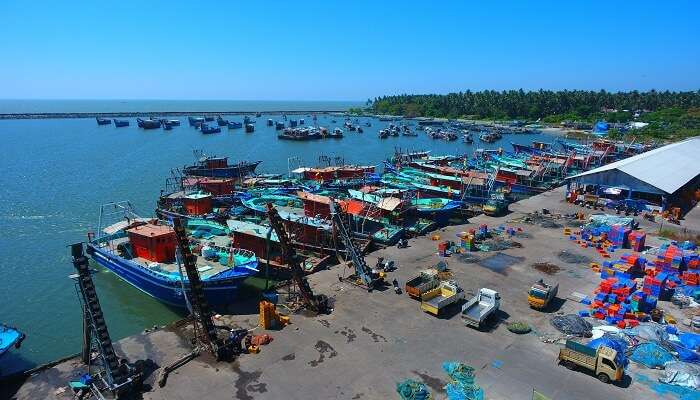 Fish Harbour 