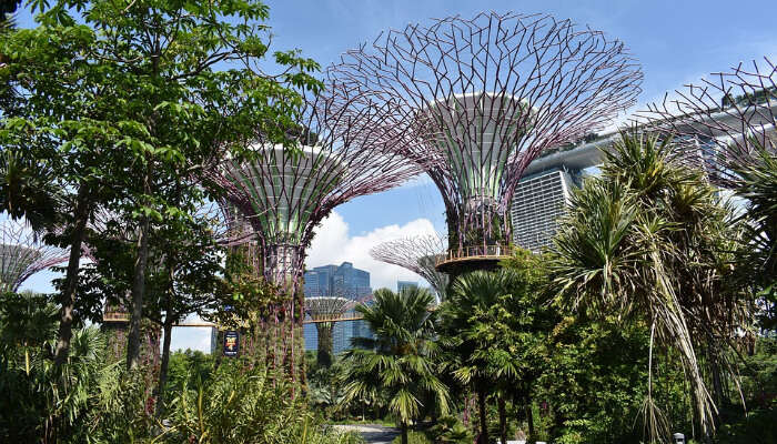 Gardens By The Bay in Singapore