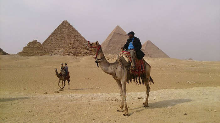 Camel Riding in Giza