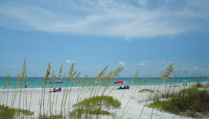 Beach in Florida