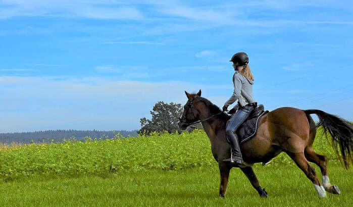 Horse Riding In Chile