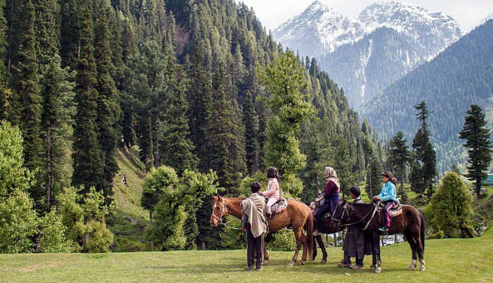 Horse Riding