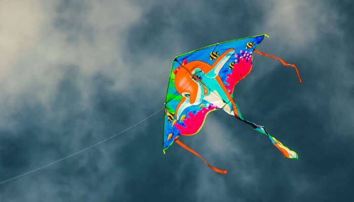 Kite Flying