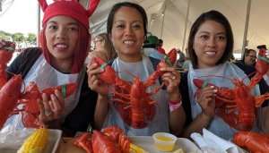 Maine Lobster Festival