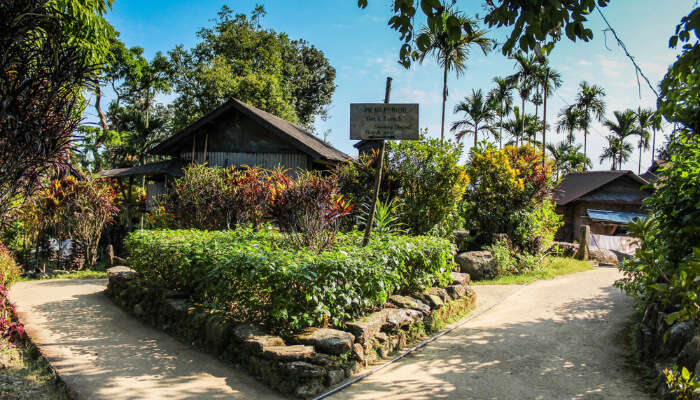 Lush Green Garden