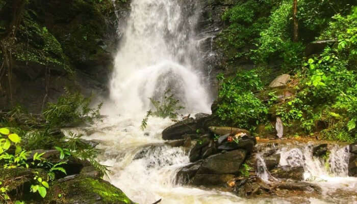 Waterfall Trek