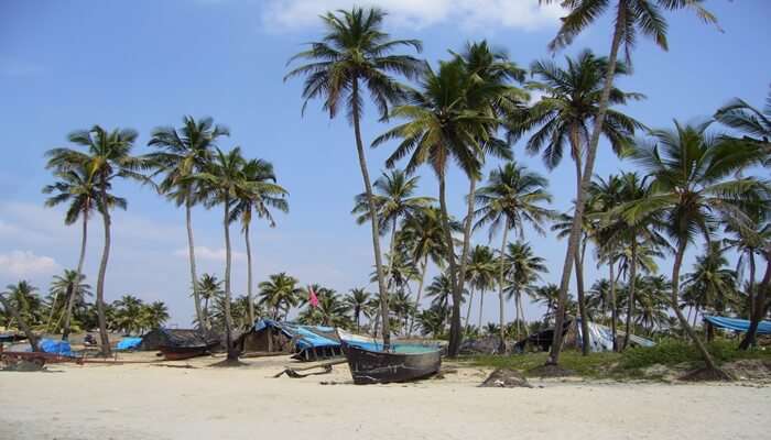 beach view in goa