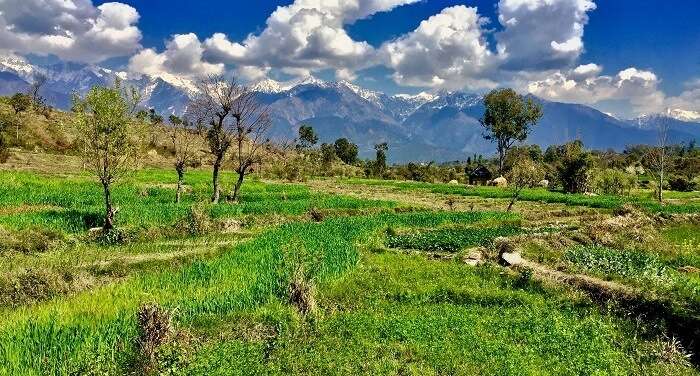 Places To Visit In Palampur