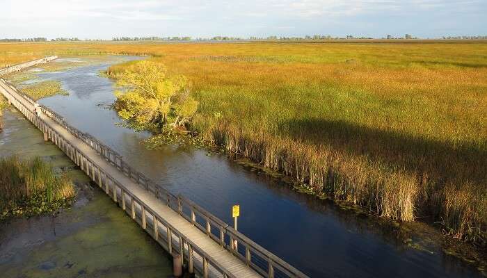 Point Pelee National Park