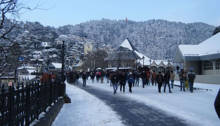 How To Reach Shimla