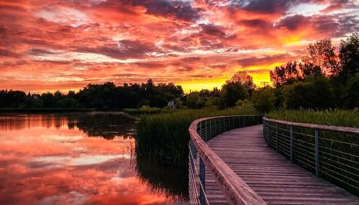 Rouge National Urban Park