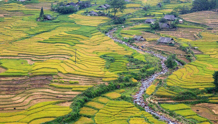 Sapa In Hanoi