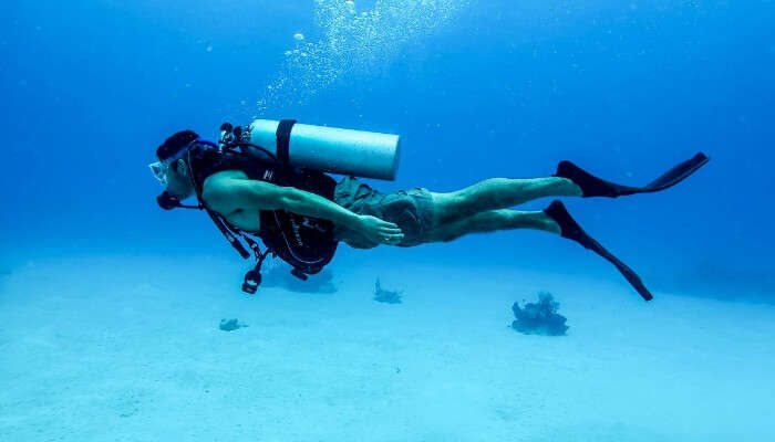 Scuba Diving Scene