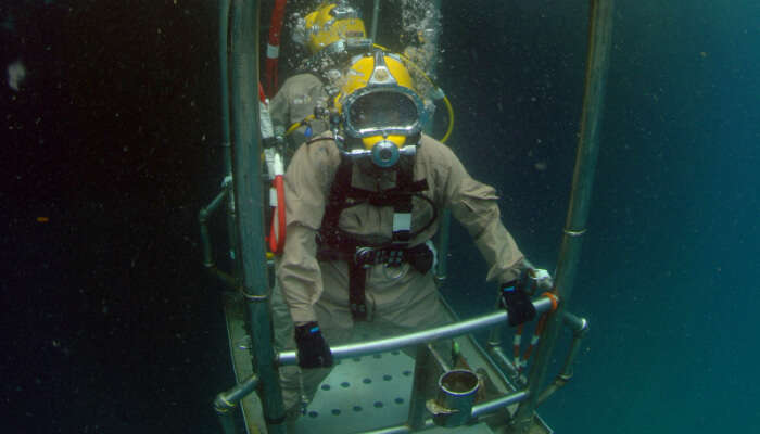 Sea Diving View