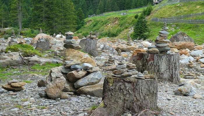 Beautiful Rock Garden