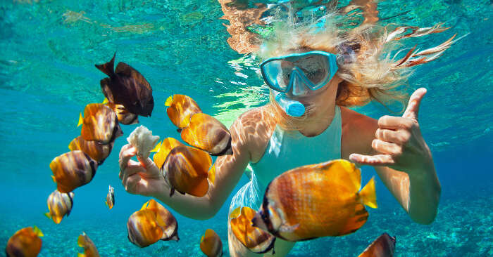 Snorkeling In Nemo Island