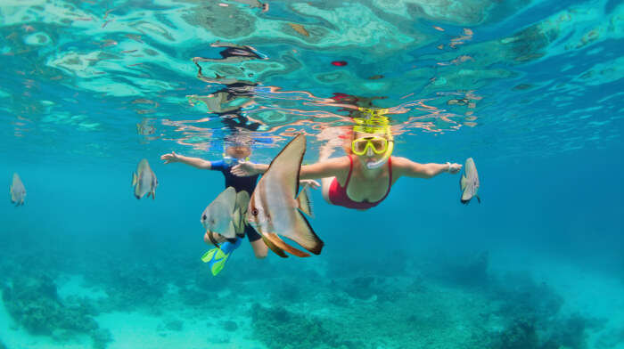 Snorkeling