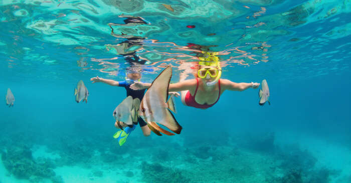 Snorkeling In Koh Lipe