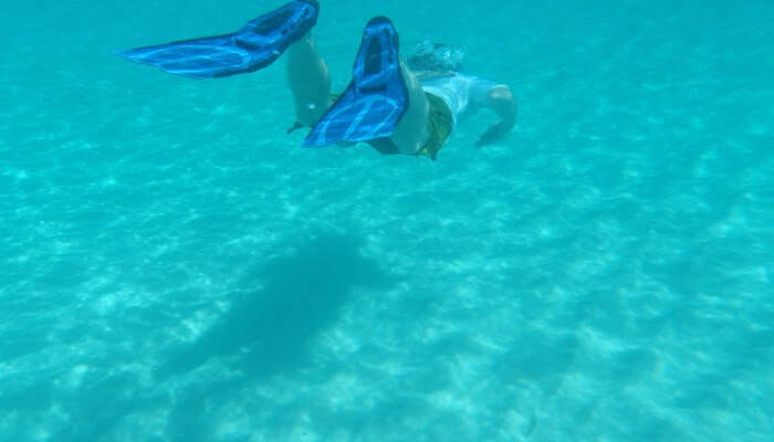 Enjoy Underwater Life
