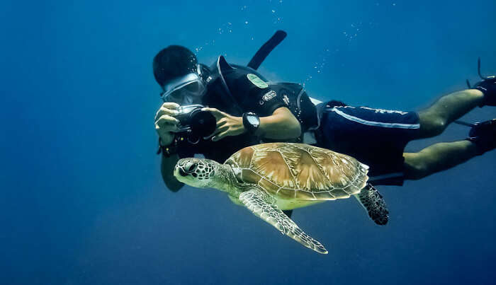 Experience Snorkelling