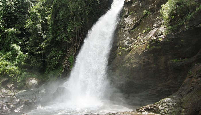 Waterfall in Wayanad