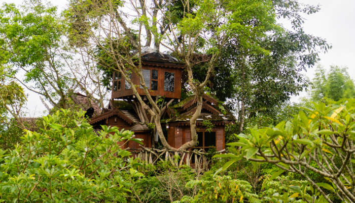 Tree House