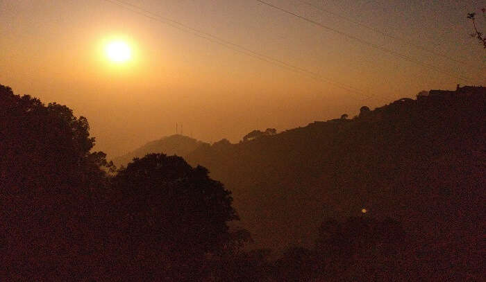 surrounding beauty of the pine laid landscape, Kasauli In December