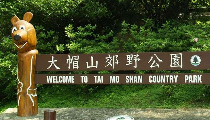 Tai Mo Shan Country Park