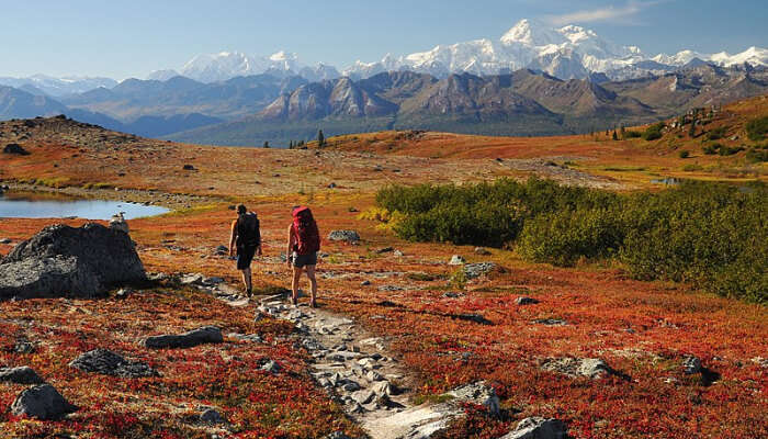 Beautiful Trail