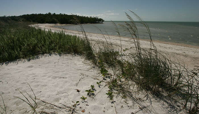 Thousand Islands National Park