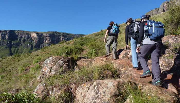 Enjoying Trekking with Friends