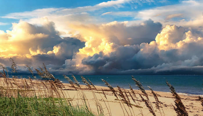 Beach in Florida