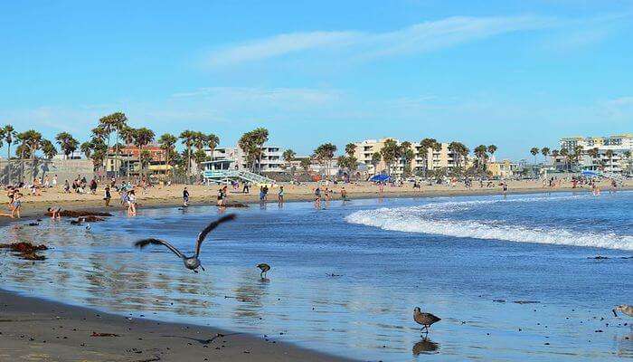 amazing beach