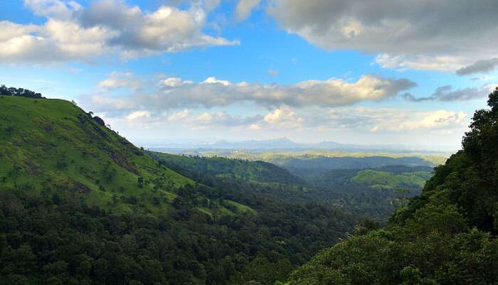 Awesome Weather in Wayanad