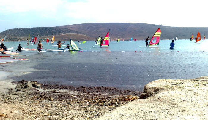 Enjoying Windsurfing