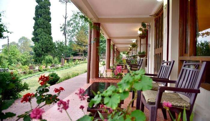 wonderful lavish green homestay