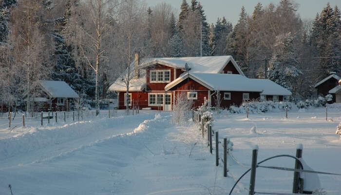 snowfall around a cottage