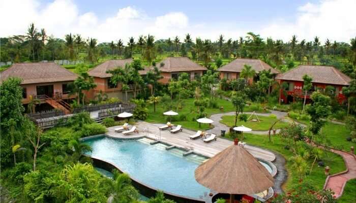 pool in the garden of resort