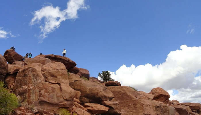 people standing atop a hill